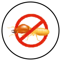 Termite Proof